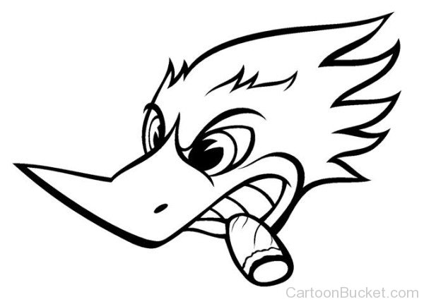 Woody Woodpecker Angry Face
