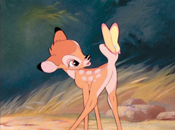 Bambi Looking At Butterfly