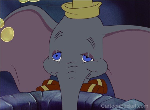 Blue Eyed Dumbo