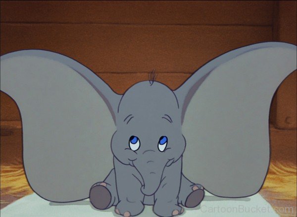 Dumbo Photo