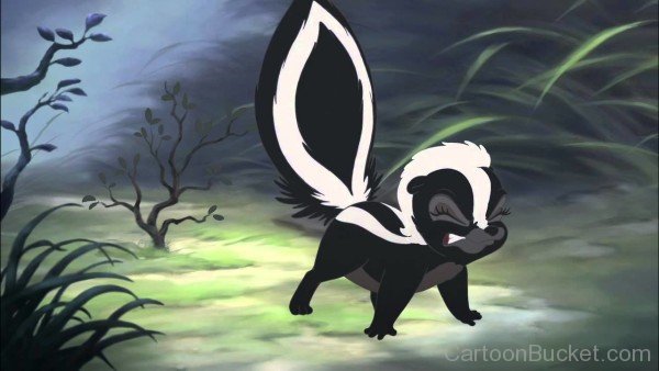 Flower The Skunk Looking Irritated