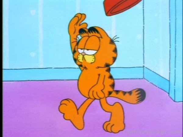 Garfield Cartoon