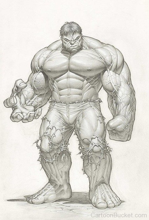 Incredible Hulk Portrait