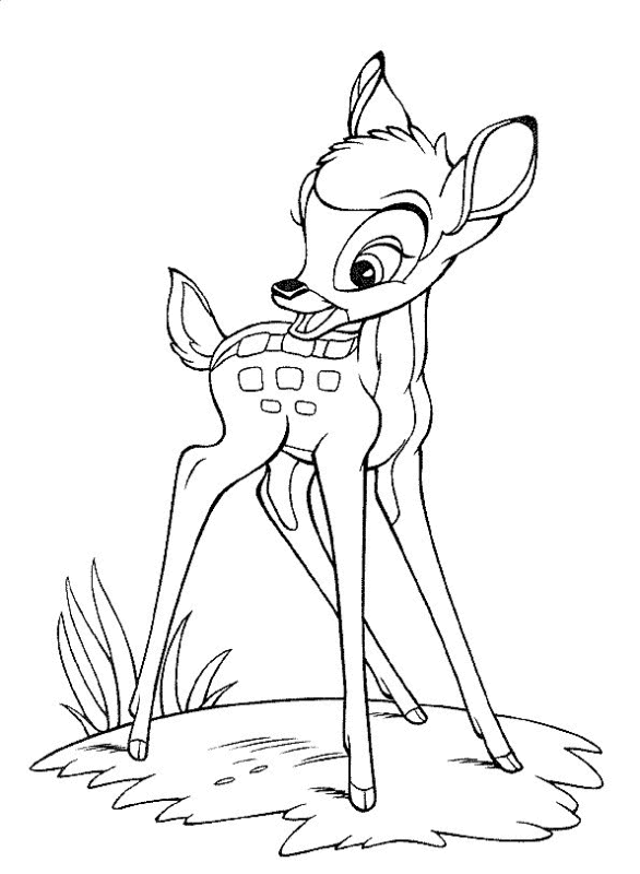 Sketch Of Bambi