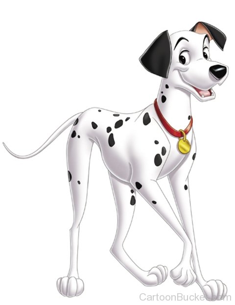 Pongo -Image