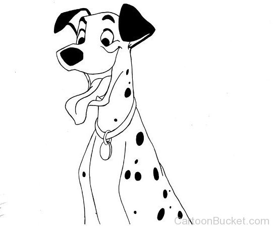 Skech Of Pongo