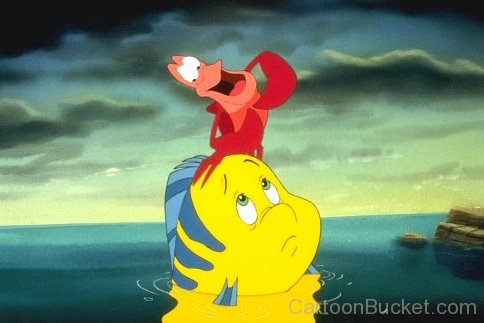 Sebastian On Flounder's Head