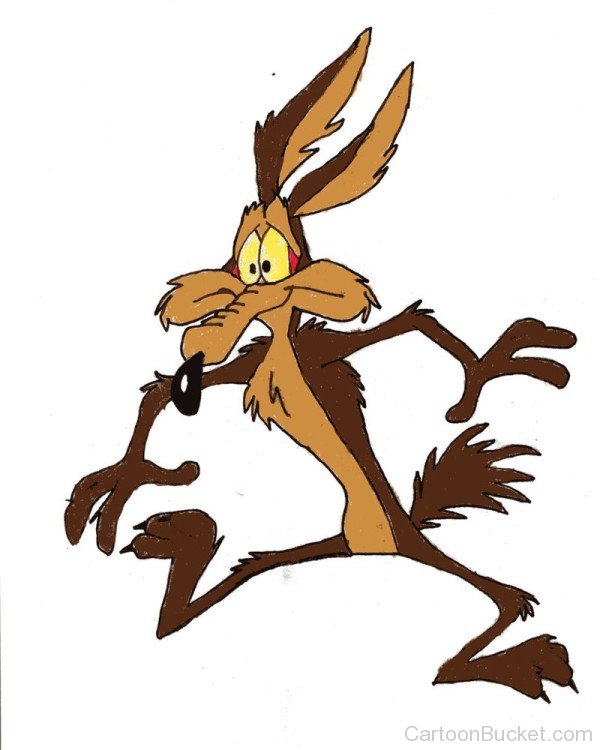 Wile.E Coyote Pictures, Images - Page 2