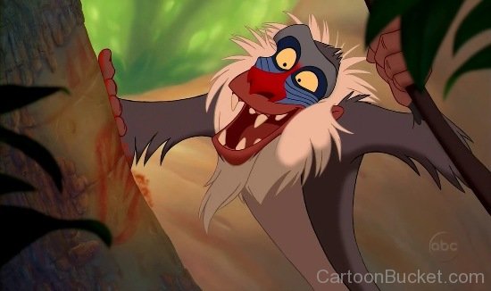 Rafiki Looking Happy