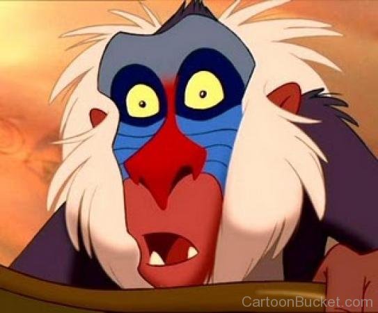 Rafiki Looking Shocked