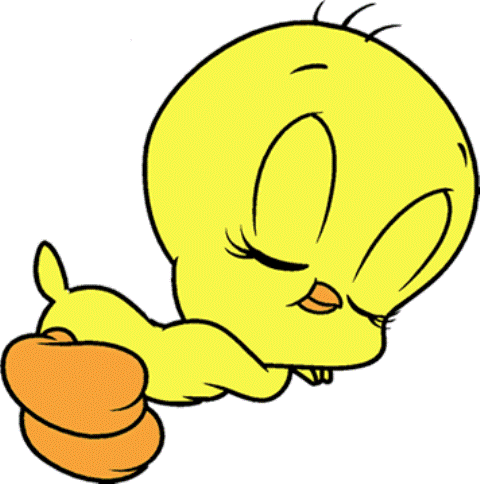 Tweety Sleeping