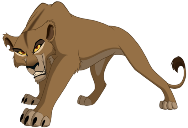 Zira Picture