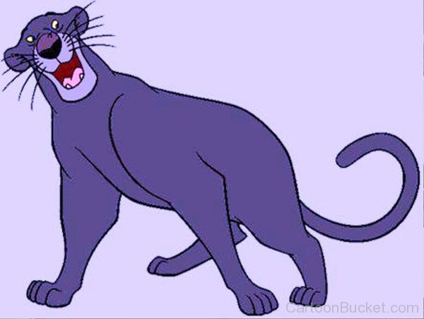 Bagheera Laughing-kli307