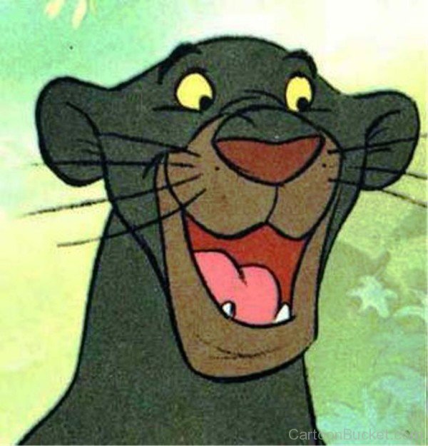 Bagheera Looking Happy-kli313