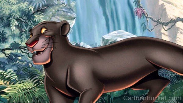 Bagheera Smiling-kli317