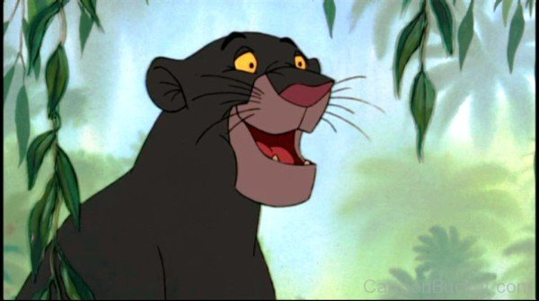 Bagheera looking Excited-kli312