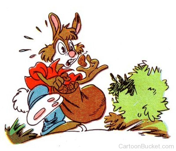 Br'er Rabbit Looking Shocked-yu911