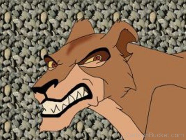 Zira Picture