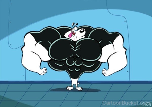 Muscular Dudley Puppy-ycx348