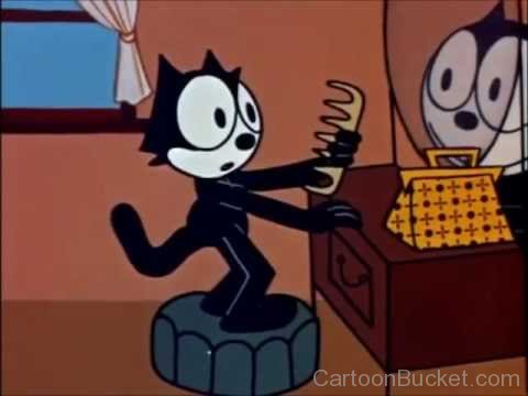 Felix The Cat Standing Front Of Mirror-ys56318