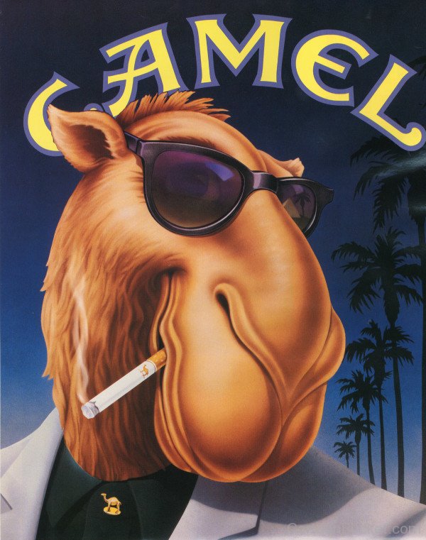 Joe Camel - Image-gh45604