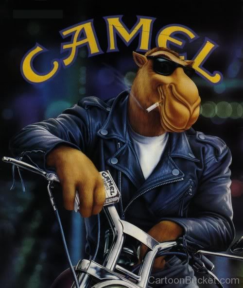 Joe Camel On Bike-gh45610