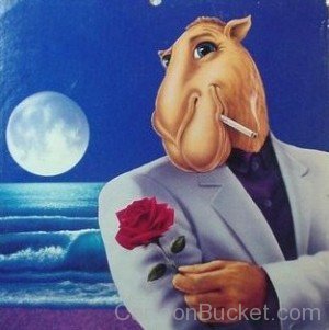 Joe Camel With Rose-gh45615