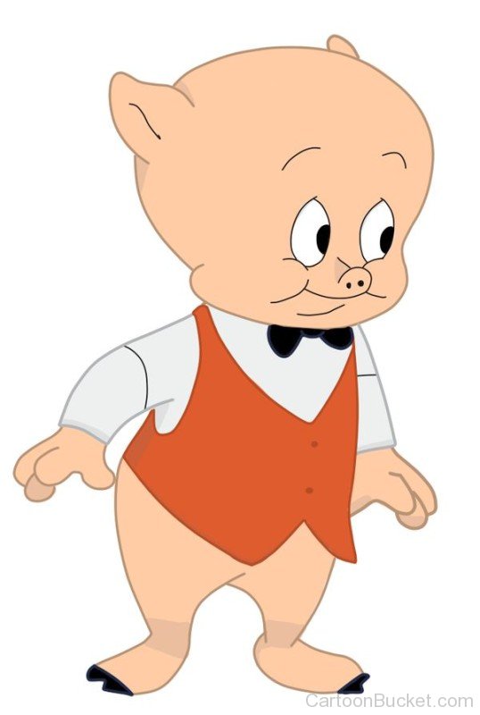 Porky Pig Wearing A Orange Coat-gb25818