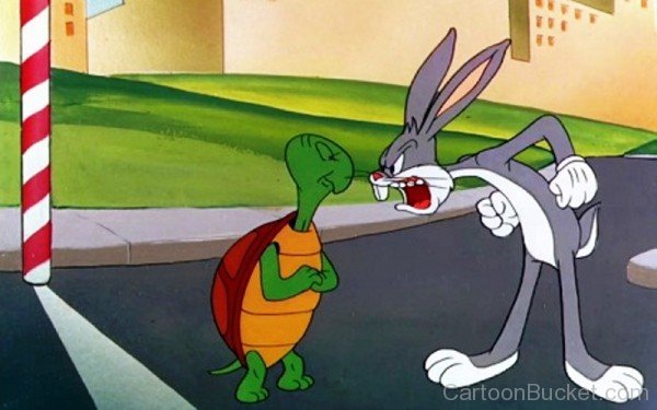 Bunny Angry On Cecil Turtle-rhl85601