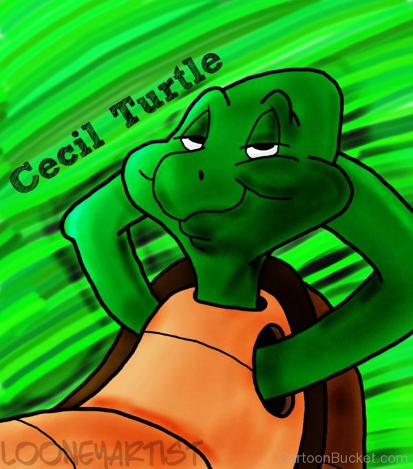Cecil Turtle-rhl85617
