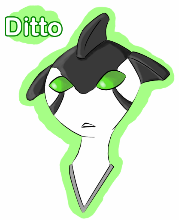 Ditto-txq2213