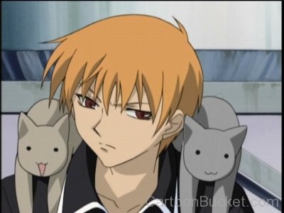 Kyo Sohma With Cats