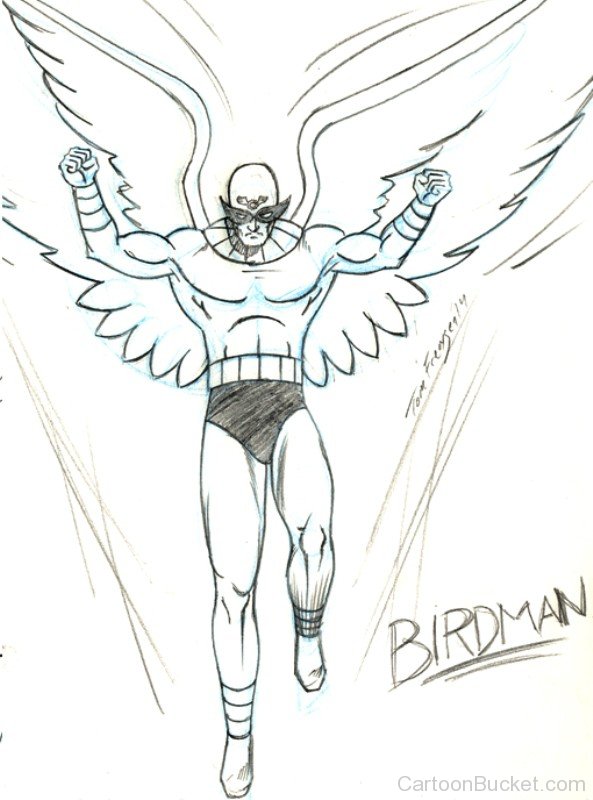 Pencil Sketch Of Birdman-ycw2624