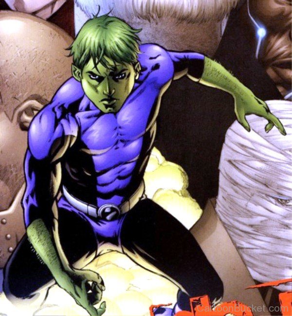 Photo Of Beast Boy-tgg454