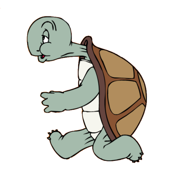 Cecil Turtle Image