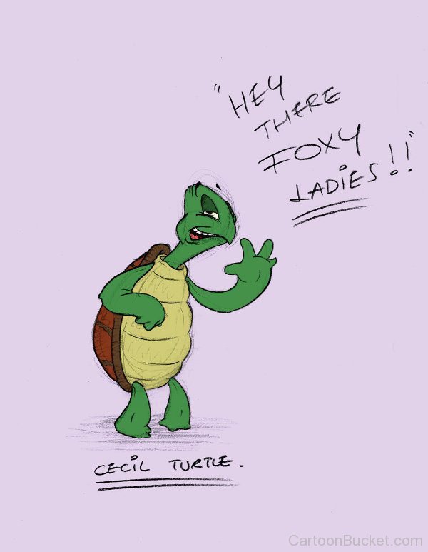 Cecil Turtle Pic
