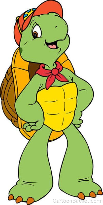 Happy Cecil Turtle