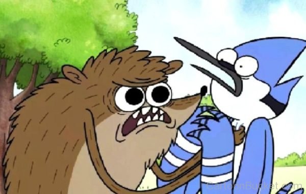 Rigby Angry On Mordecai