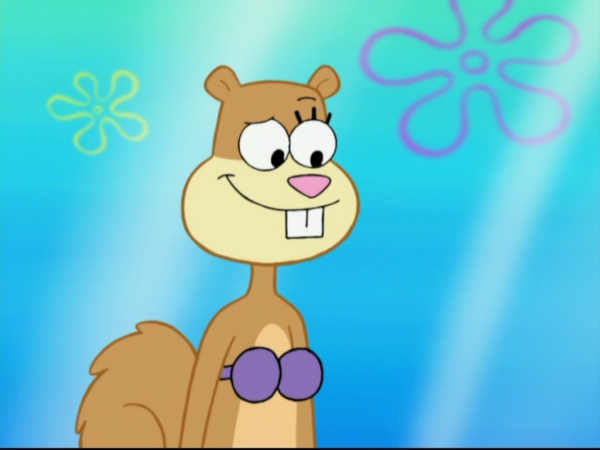 Funny Sandy Cheeks