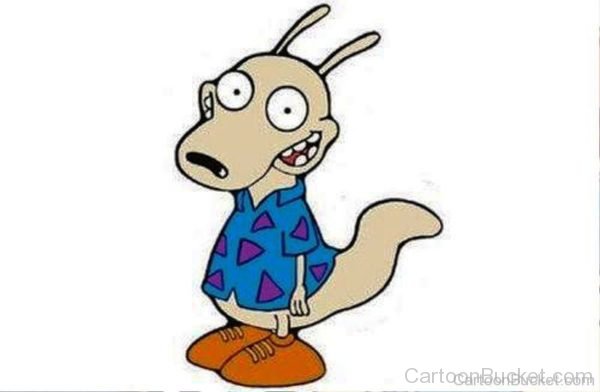 Rocko Pic