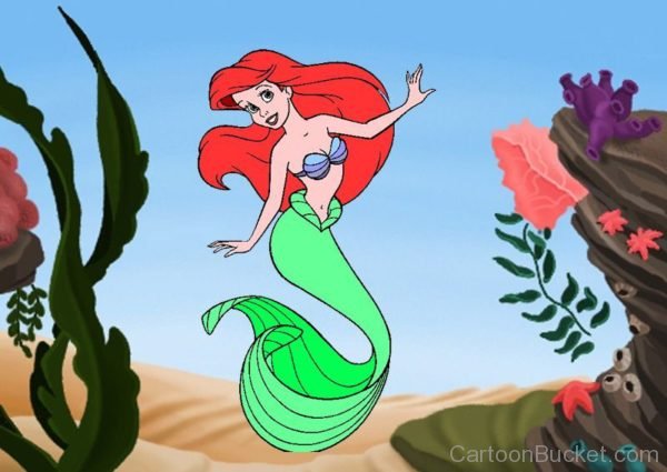 Image Of Mermaid