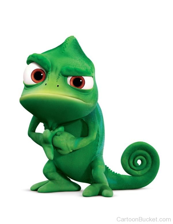 Pascal Looking Angry