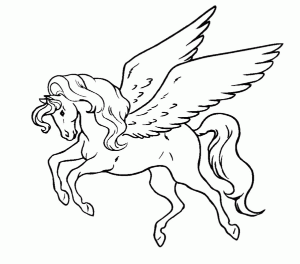 Picture Of Pegasu