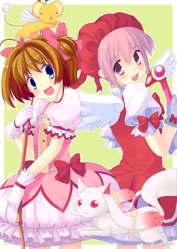 Sakura And Friends Picture