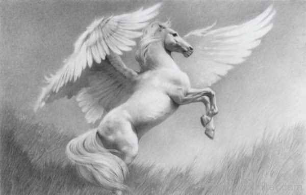 White Pegasu Image