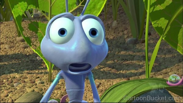 Pic Of Flik